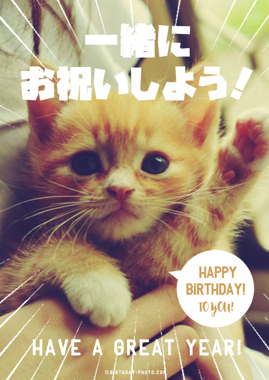癒される猫のお誕生日お祝い画像