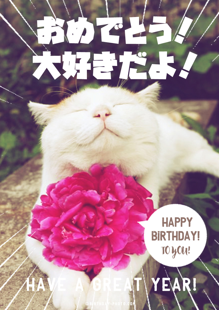 猫の表情が可愛い誕生日画像