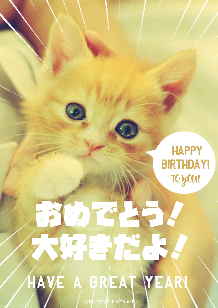 猫好きの友達が泣いて喜ぶお誕生日おめでとう画像