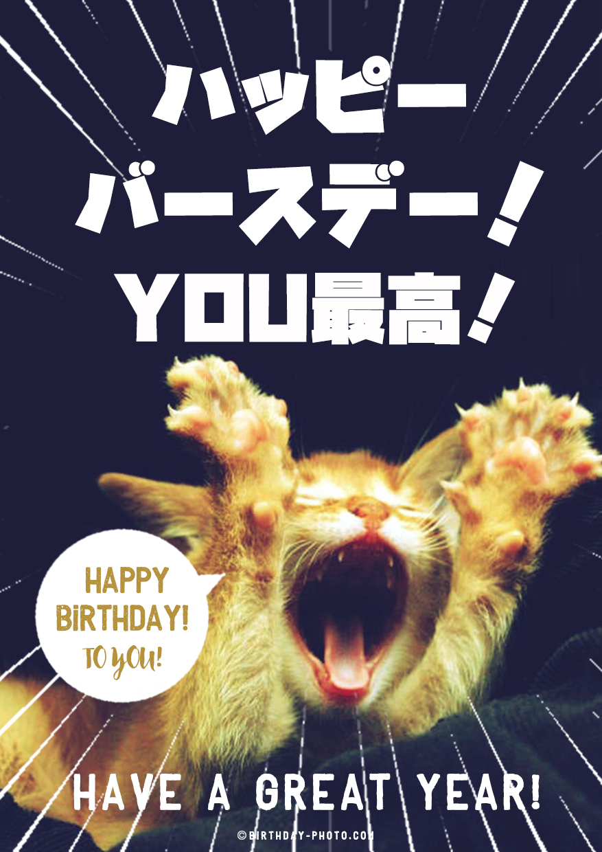 最高のお誕生日を表現した猫ちゃん