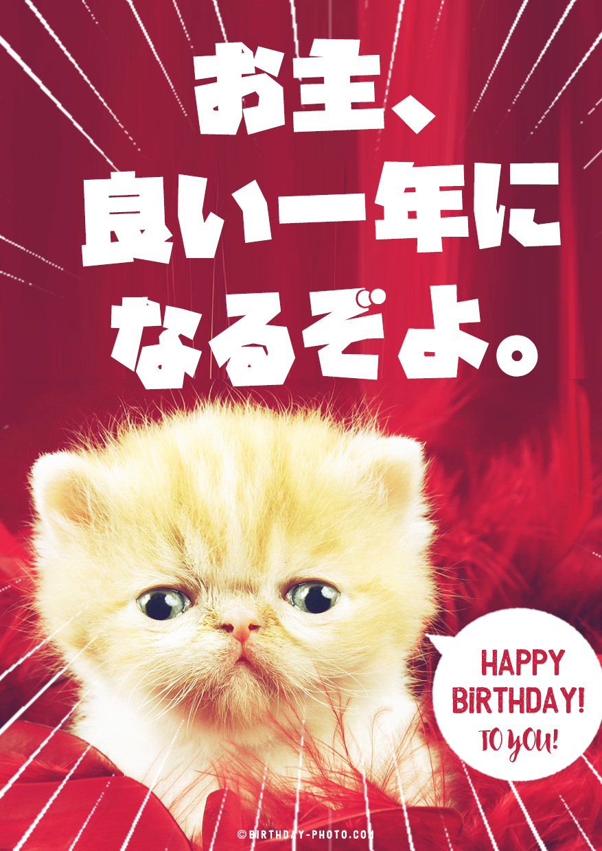猫の誕生日画像