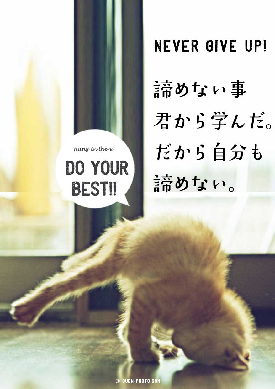 笑える動物おもしろ画像でお誕生日メールをおくろう