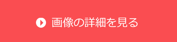 この画像の詳細を見る