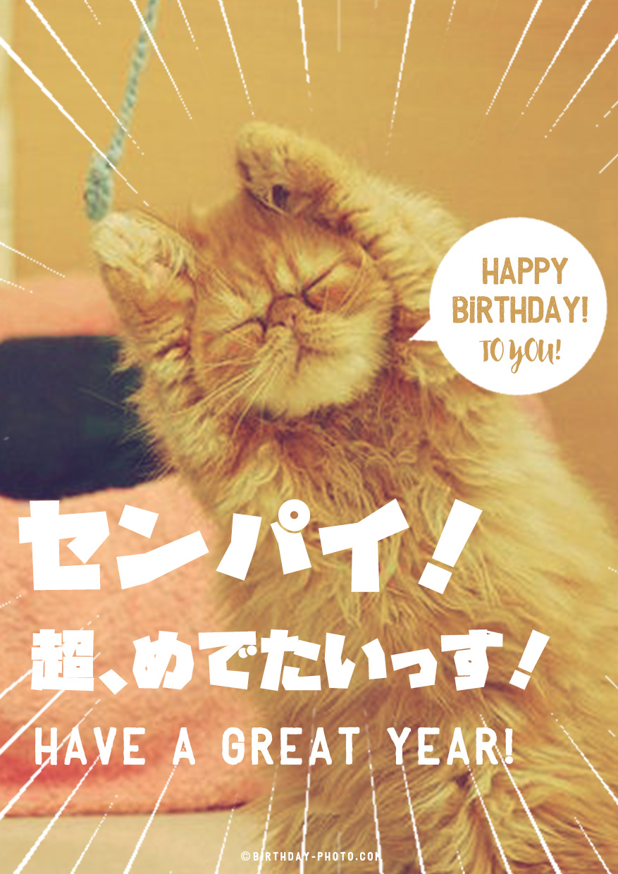 猫マニアの為のお誕生日お祝い画像