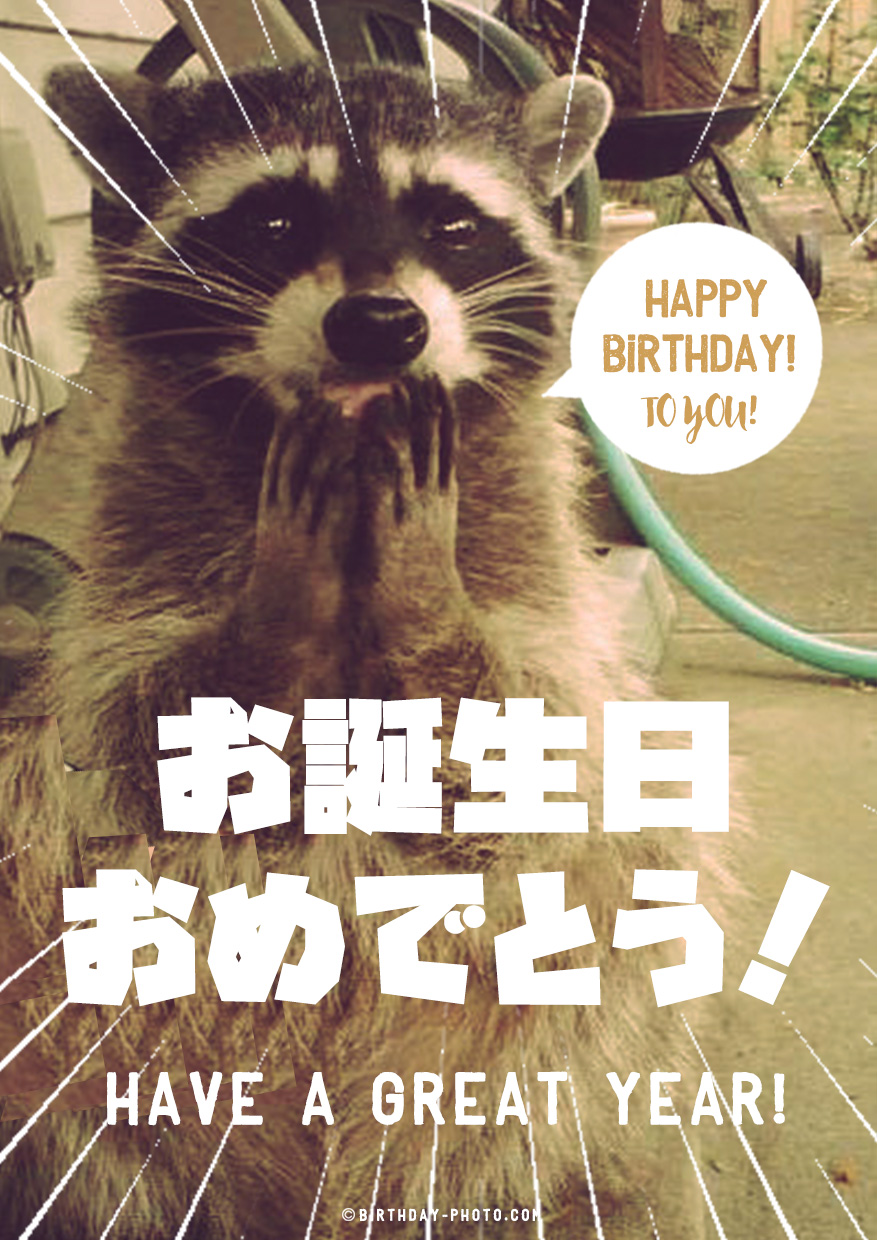 動物の可愛い表情のお誕生日おめでとう画像