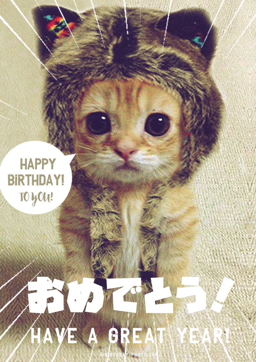 子猫の可愛すぎるお誕生日おめでとう画像