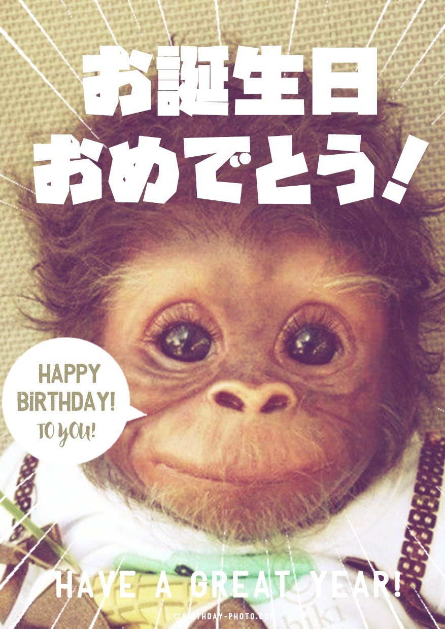 チンパンジーの可愛い写真を使ったお誕生日画像