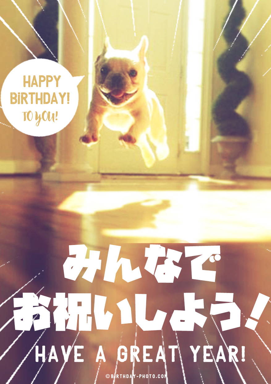 おバカな表情が可愛い犬のお誕生日おめでとう画像