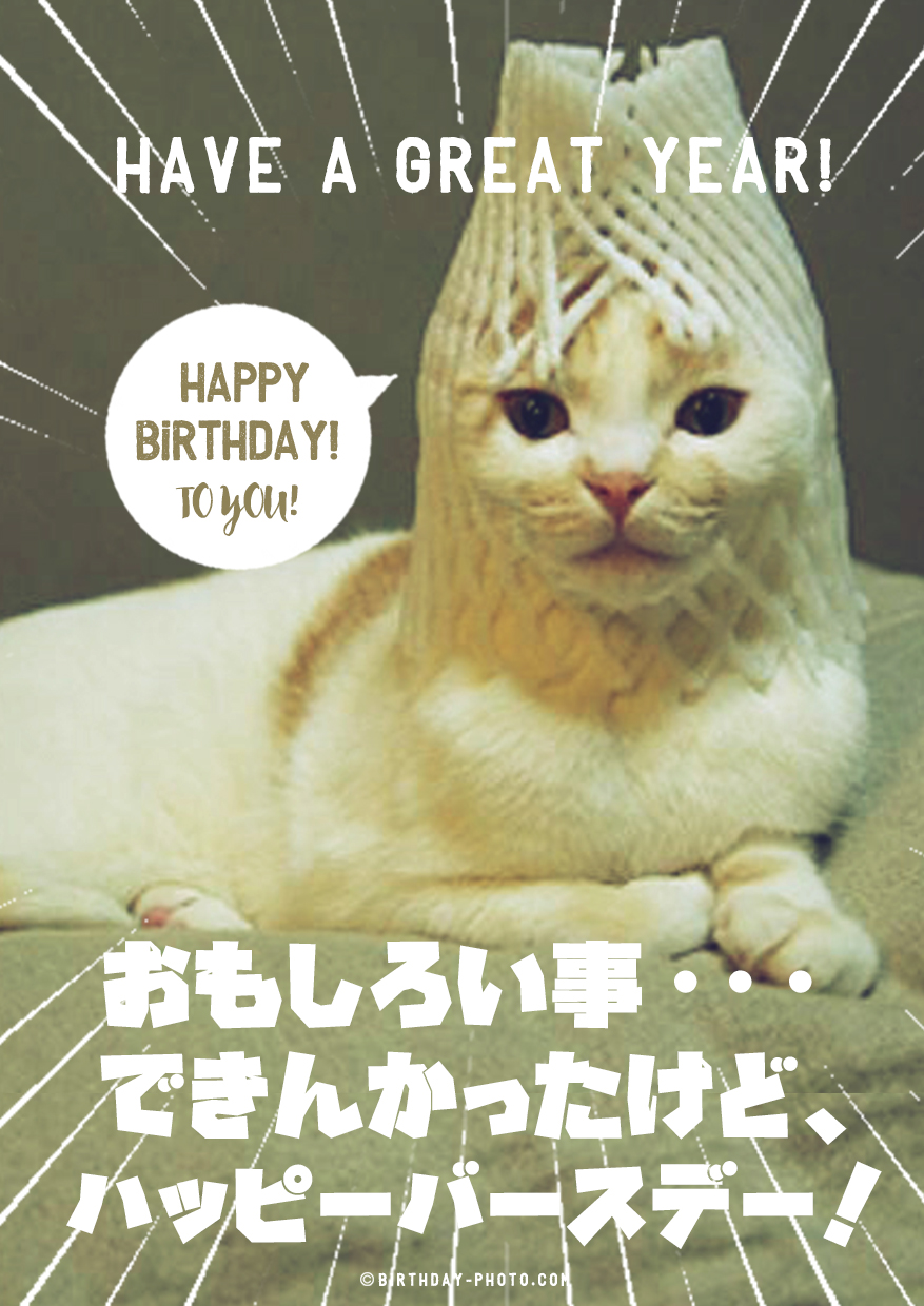 白猫のおもしろメッセージ付お誕生日お祝い画像