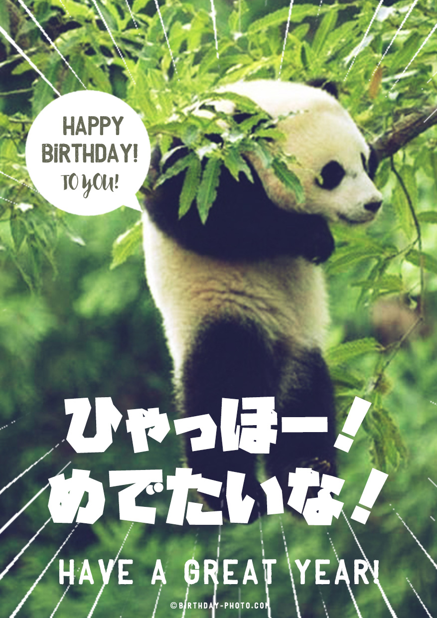 パンダのテンション高めのお誕生日おめでとう画像