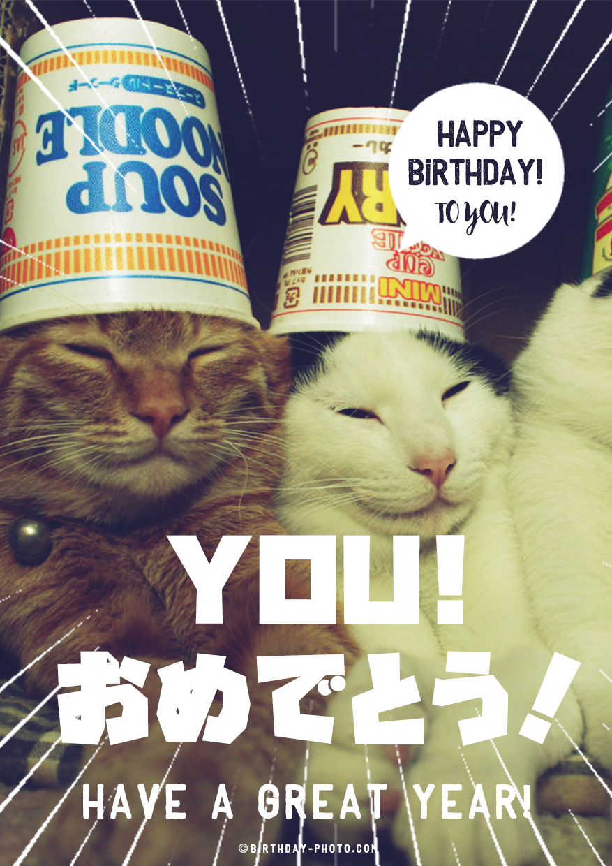 可愛い猫たちからのお誕生日祝福画像