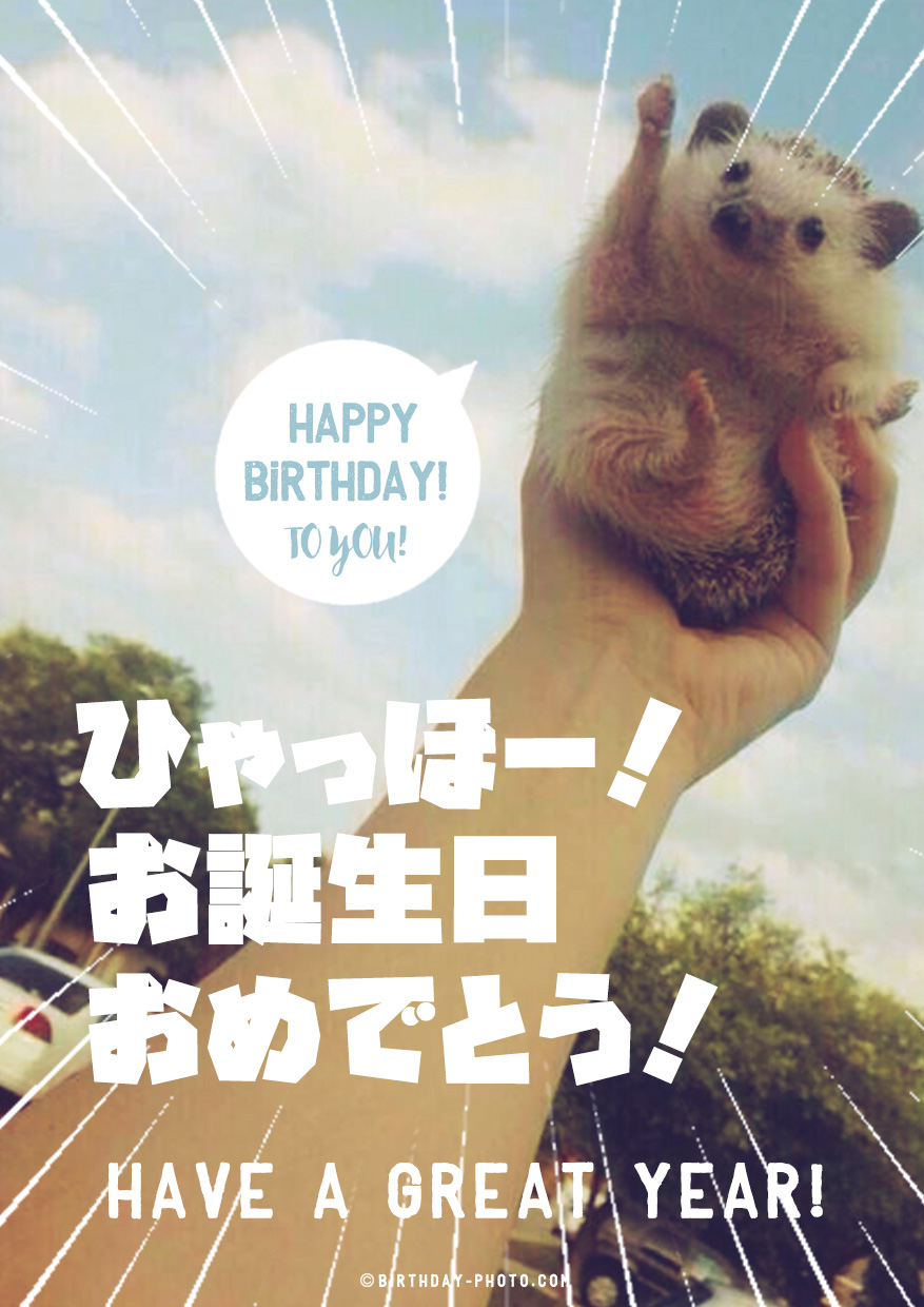 テンションMAXのハリネズミからのお誕生日おめでとう画像