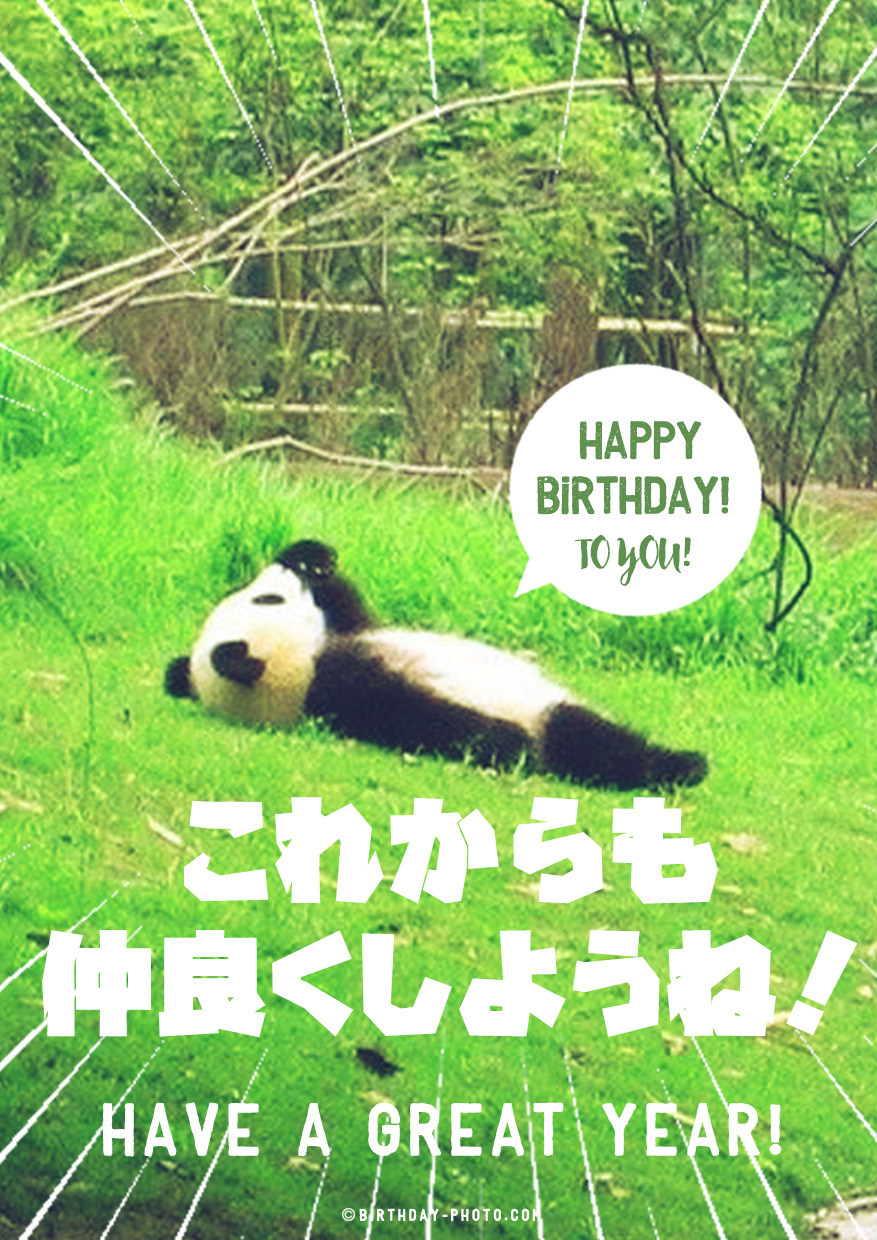 パンダのほっこりするお誕生日おめでとう画像