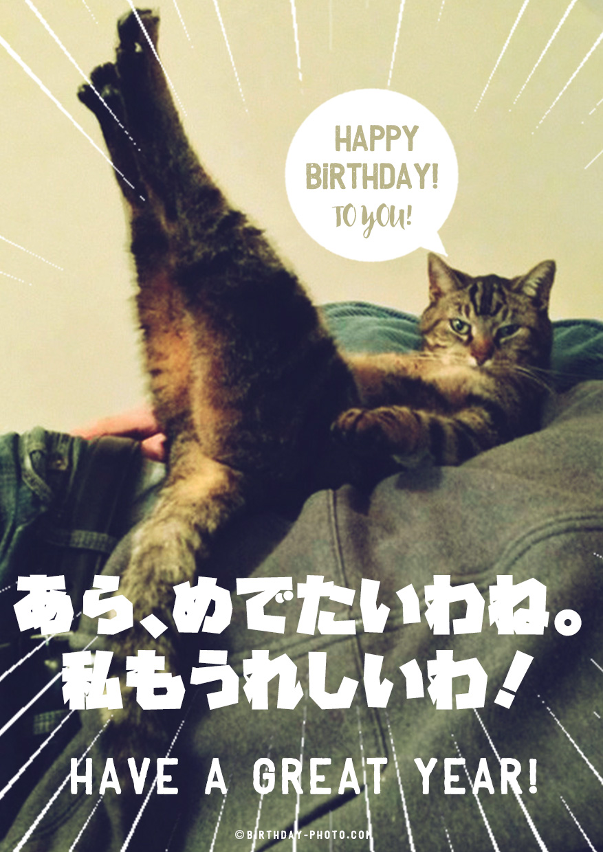 マダムな雰囲気の猫のお誕生日おめでとう画像