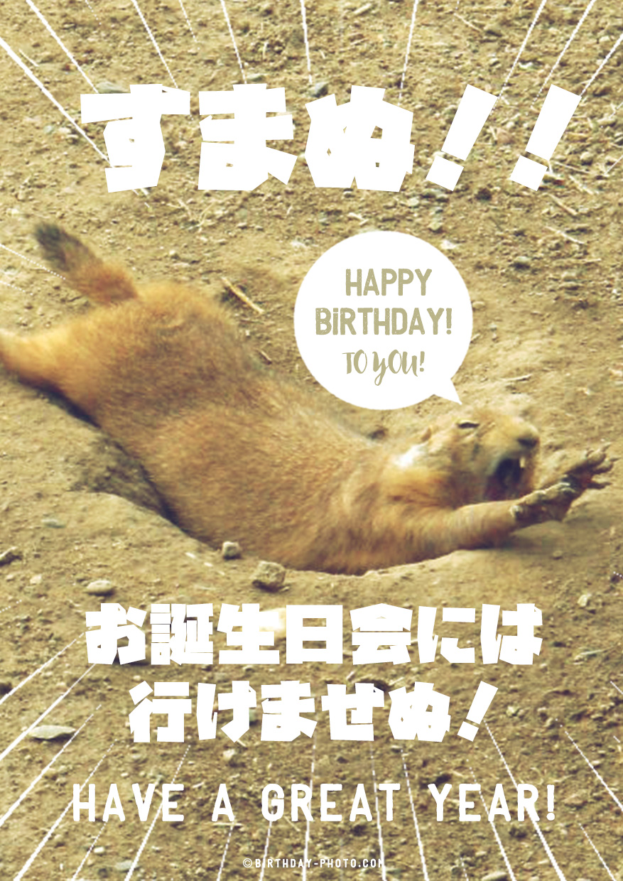 お誕生日会のお誘いを上手に断る便利な画像