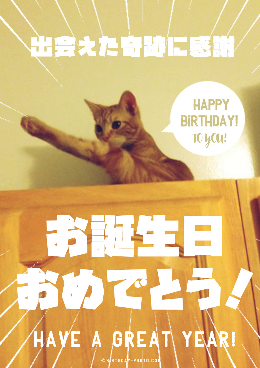 可愛い猫が祝ってくれる素敵なお誕生日画像