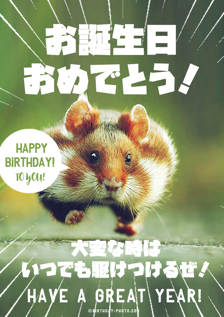 応援したい人におくるお誕生日おめでとう画像