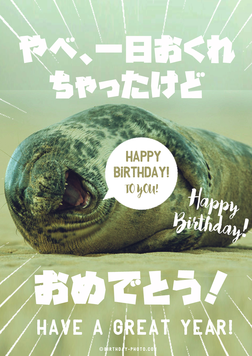 お誕生日祝いが遅れた時に使える笑える画像