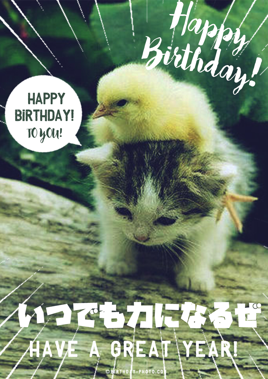 いつでも力になるよ！そんなお誕生日画像