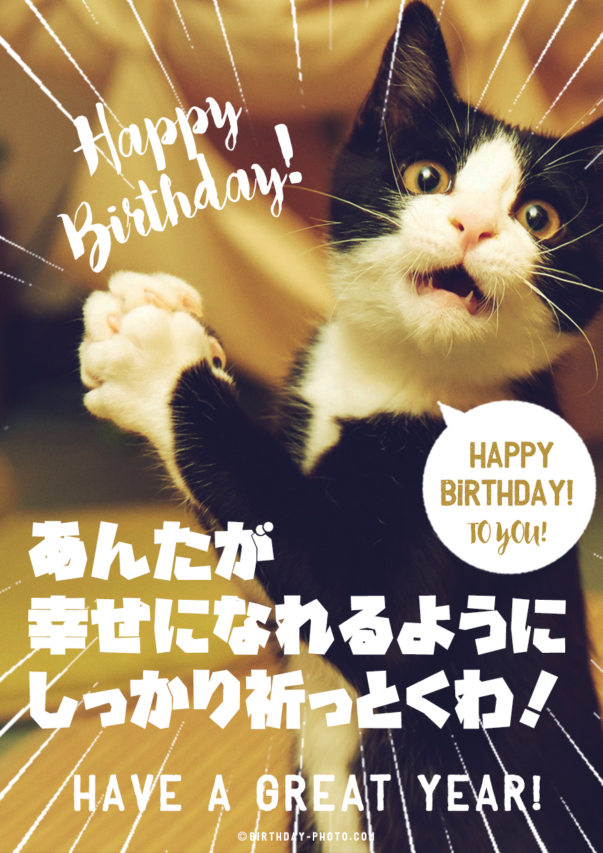 可愛い猫が幸せになれるように祈っているお誕生日画像