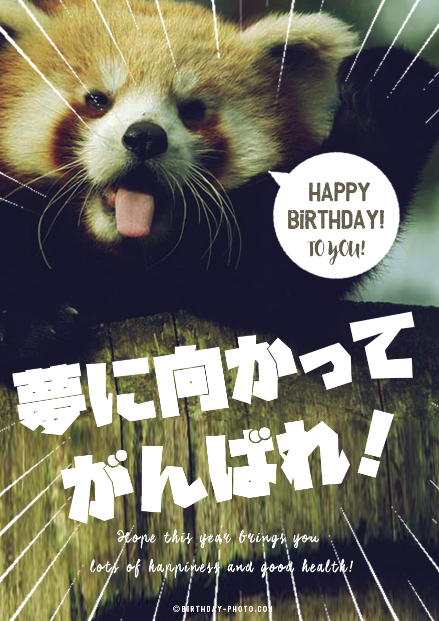 レッサーパンダからのお誕生日応援画像