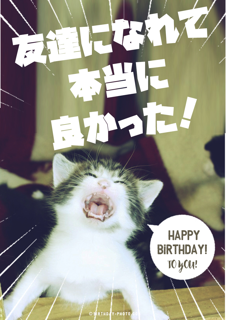 可愛い猫からのお誕生日感動メッセージ
