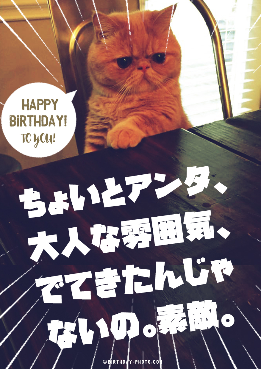 マダムな猫からのありがたいお誕生日メッセージ画像