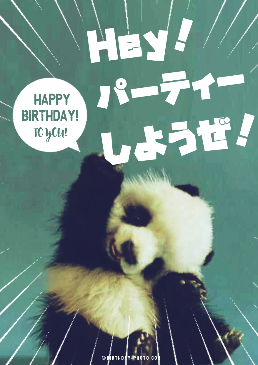 ハイテンションなパンダからのお誕生日お祝い画像