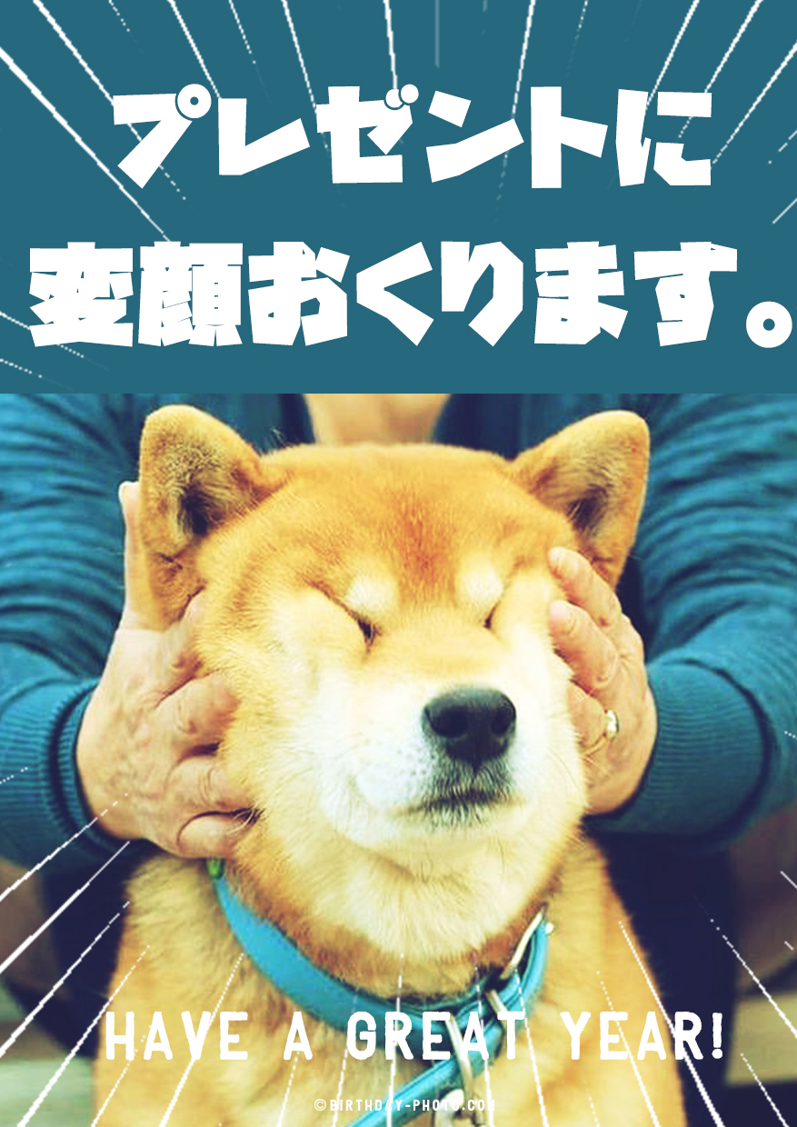 お誕生日に元気が出る動物おもしろ画像