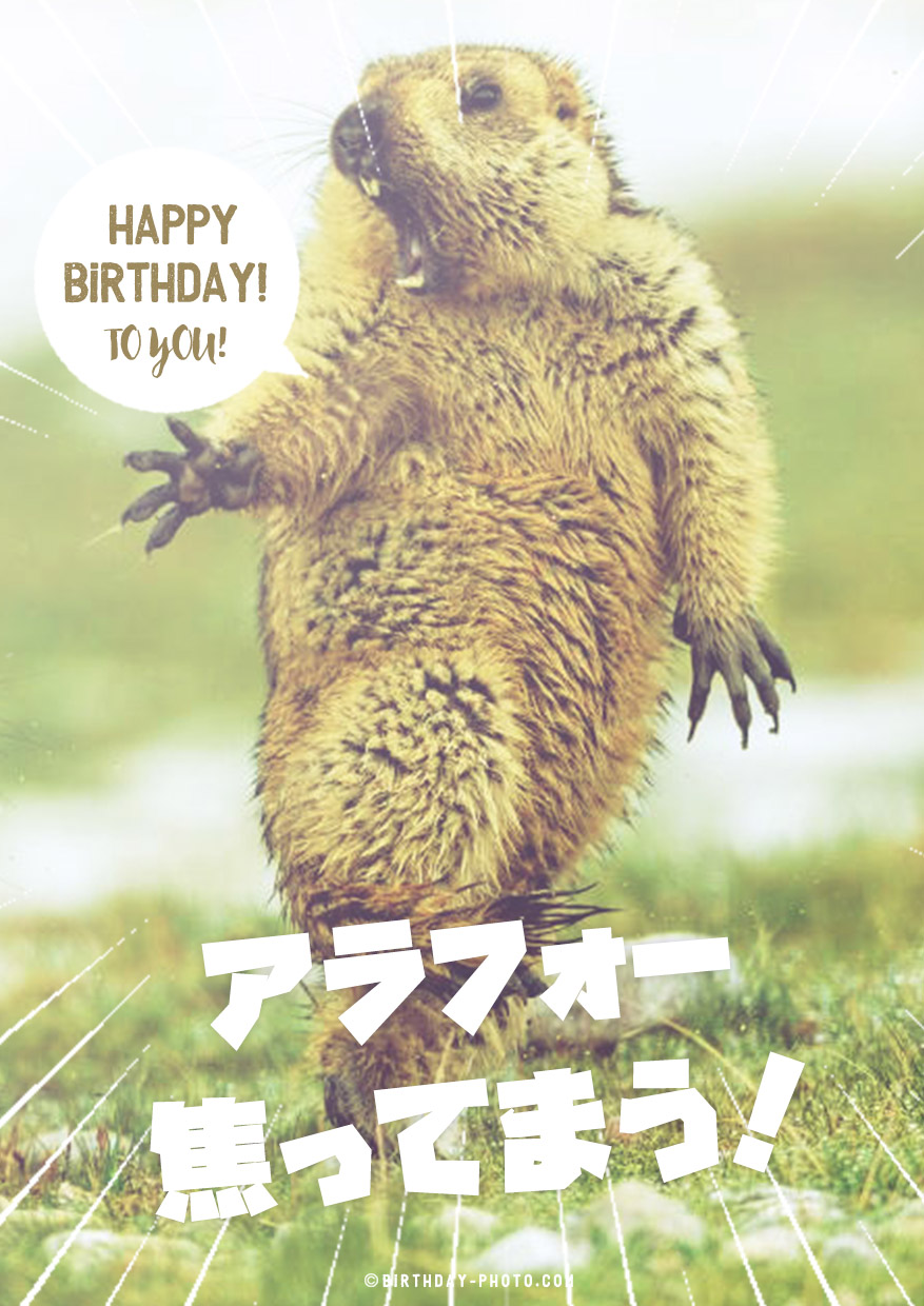 アラフォー焦ってまう!お祝い画像