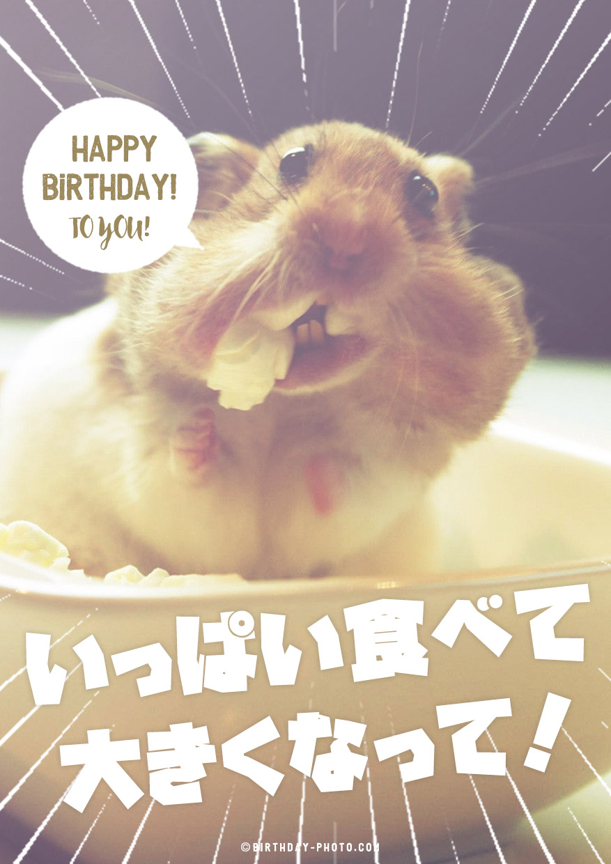いっぱい食べて大きくなって!お祝い画像