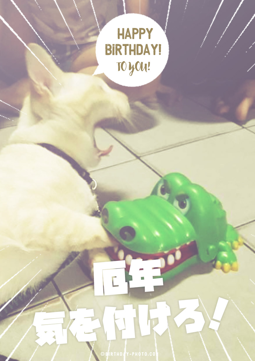 厄年には気を付けろ!お祝い画像