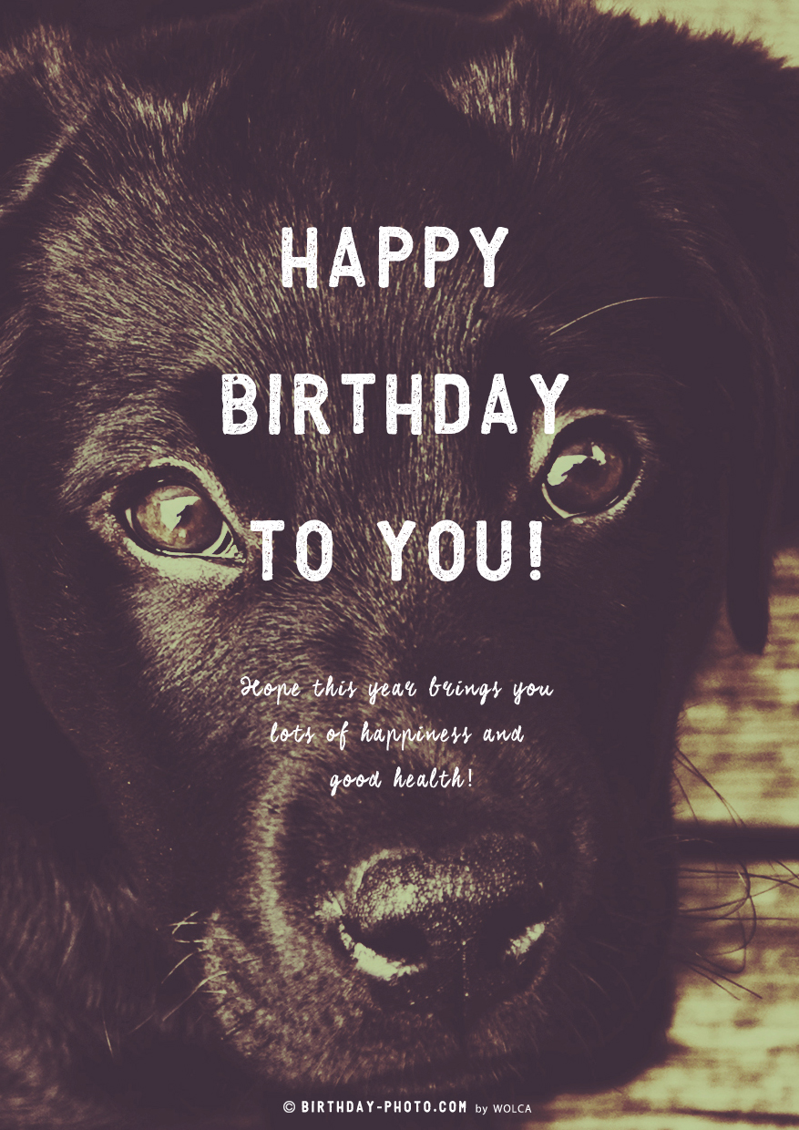 犬好きの友人にお誕生日に贈りたいお誕生日祝い画像