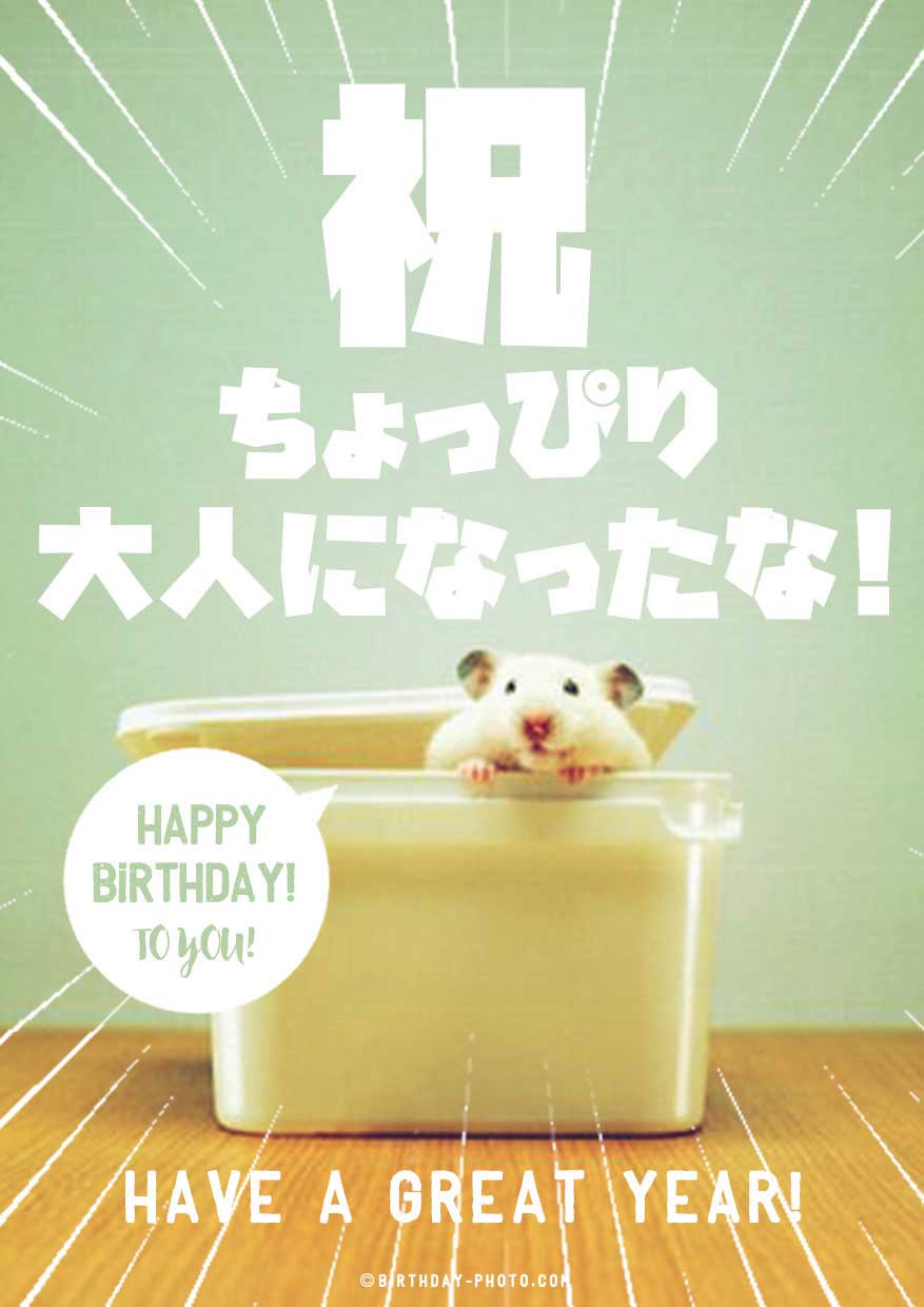 お誕生日おめでとう画像No,1