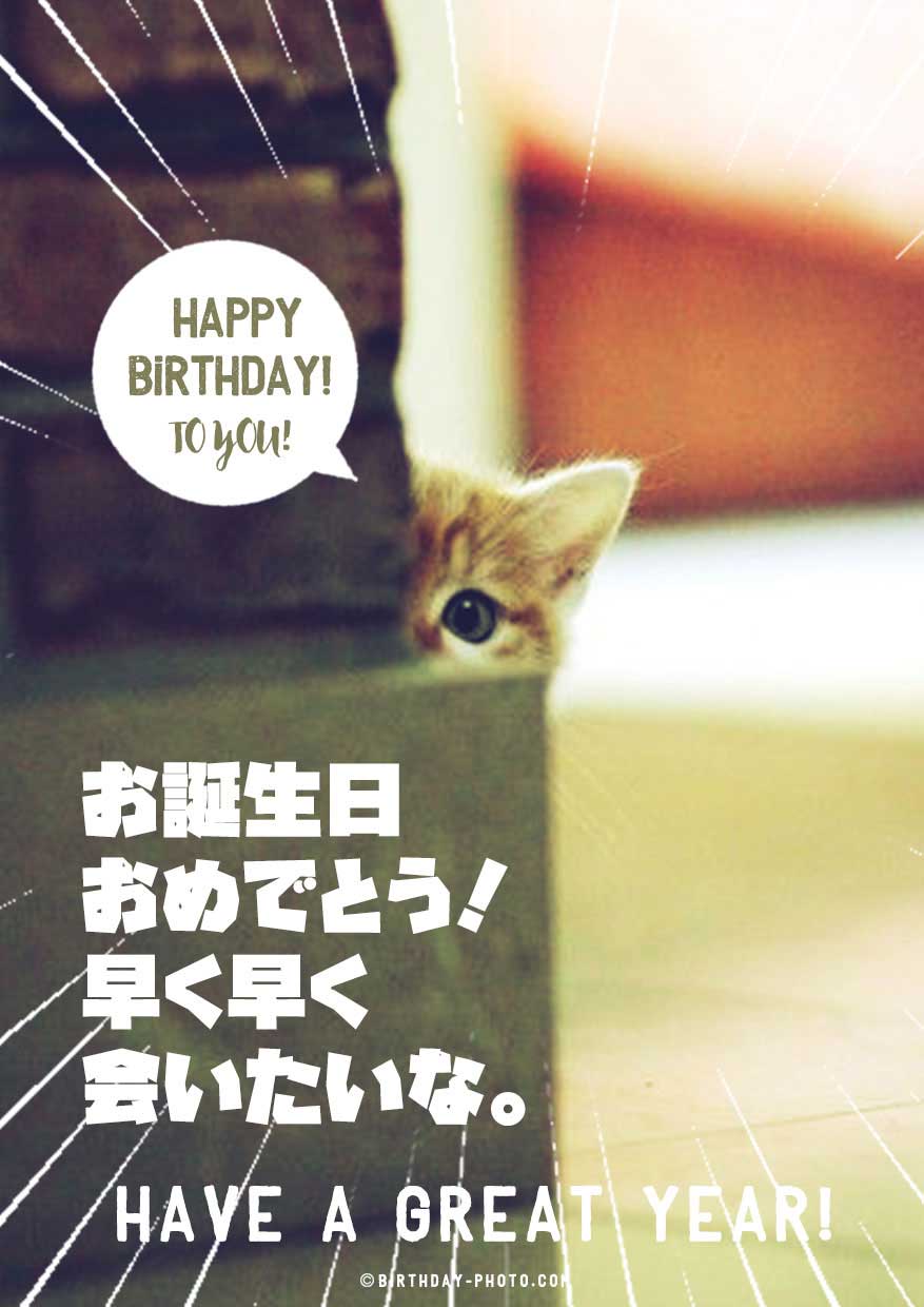 笑える動物おもしろ画像でお誕生日メールをおくろう