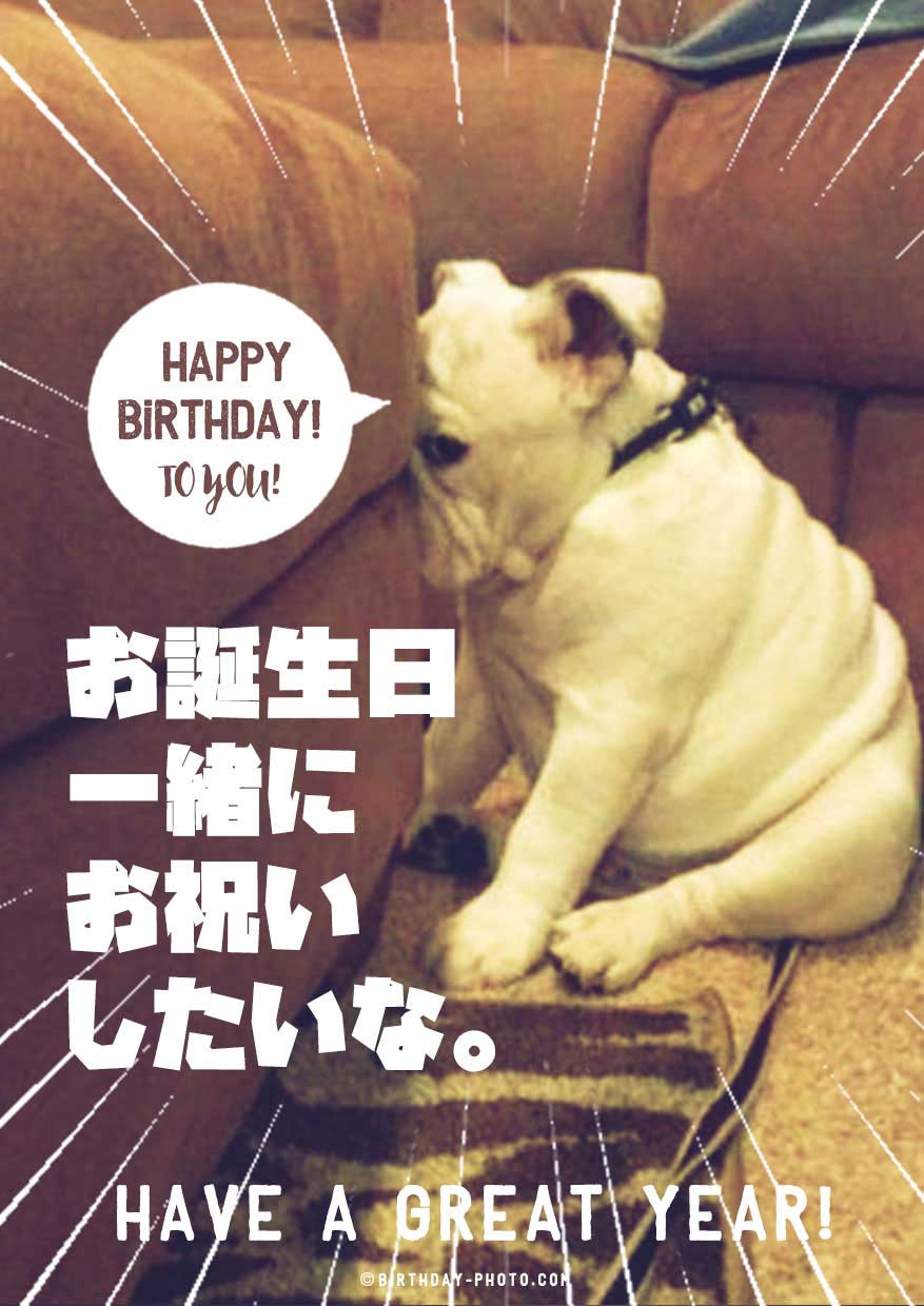 お誕生日おめでとう画像No,1