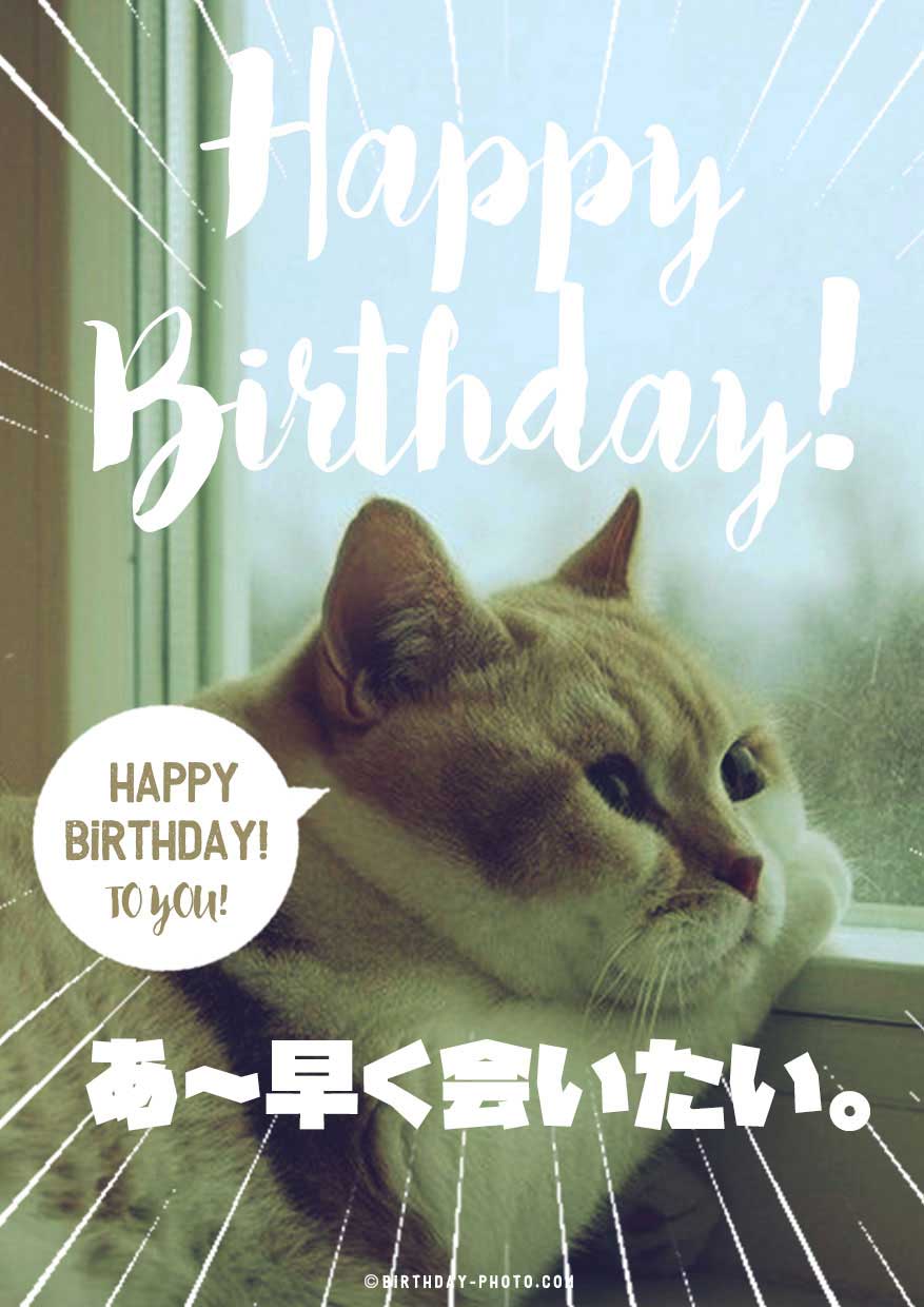 笑える動物おもしろ画像でお誕生日メールをおくろう