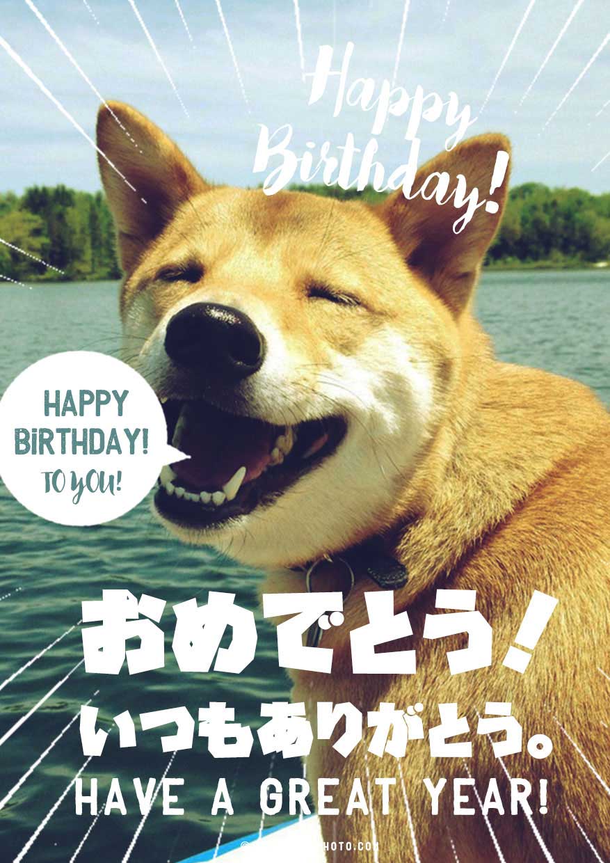 おもしろ可愛い犬猫のお祝い画像でお誕生日メールを送ろう
