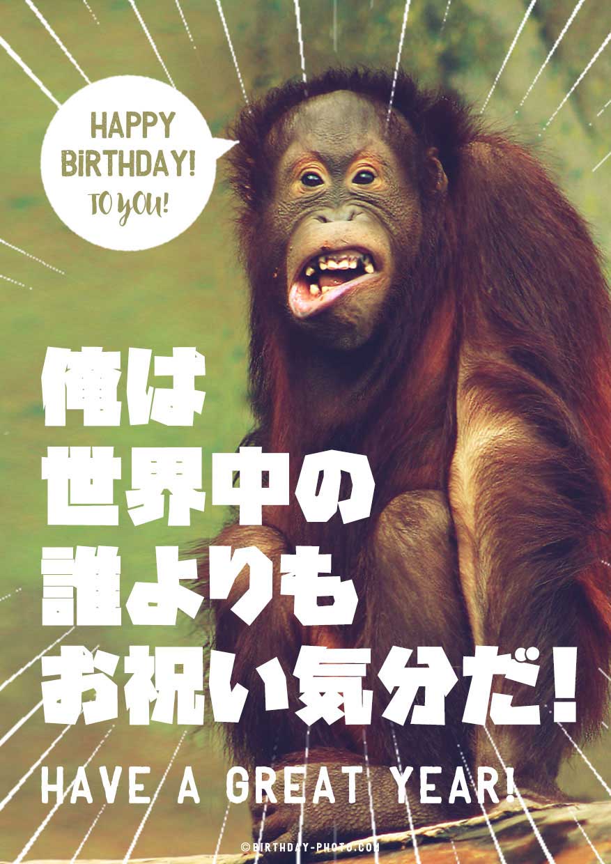 笑える動物おもしろ画像でお誕生日メールをおくろう