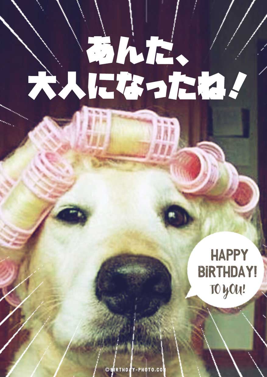 笑える動物おもしろ画像でお誕生日メールをおくろう