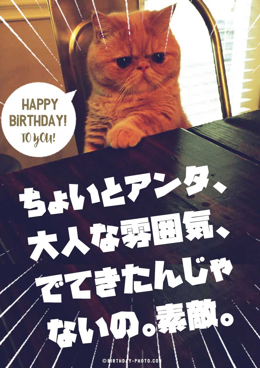 お誕生日おもしろお祝い画像 寄書き無料テンプレートのハピバフォト