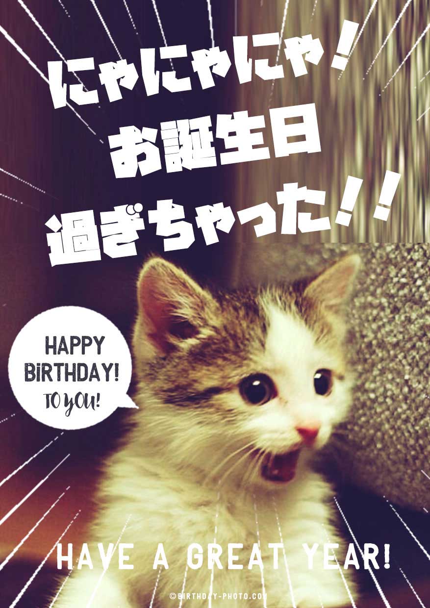 おもしろ可愛い犬猫のお祝い画像でお誕生日メールを送ろう