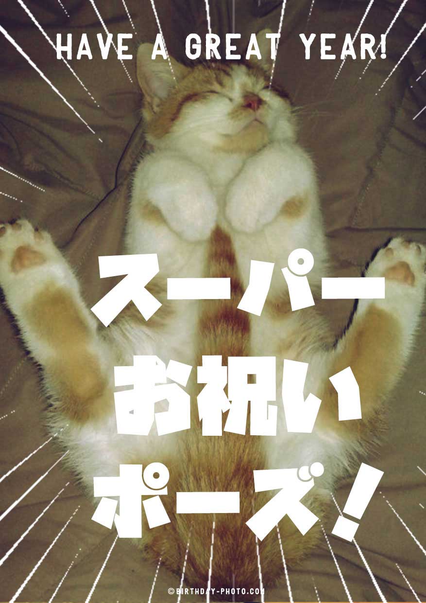 笑える動物おもしろ画像でお誕生日メールをおくろう