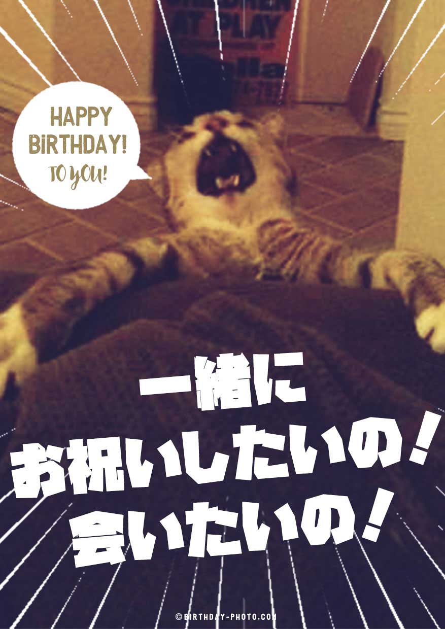 お誕生日おめでとう画像No,8