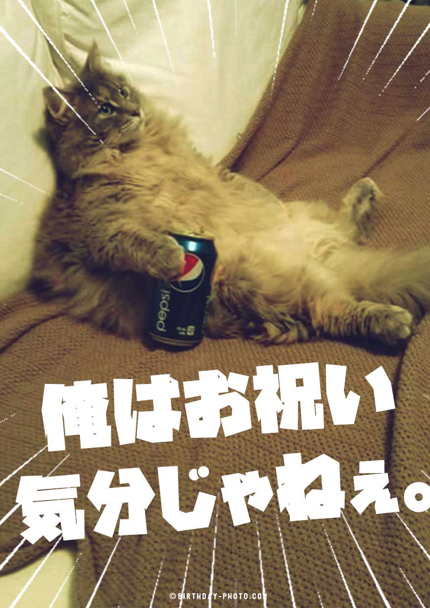アニマル面白いお誕生日画像No,283