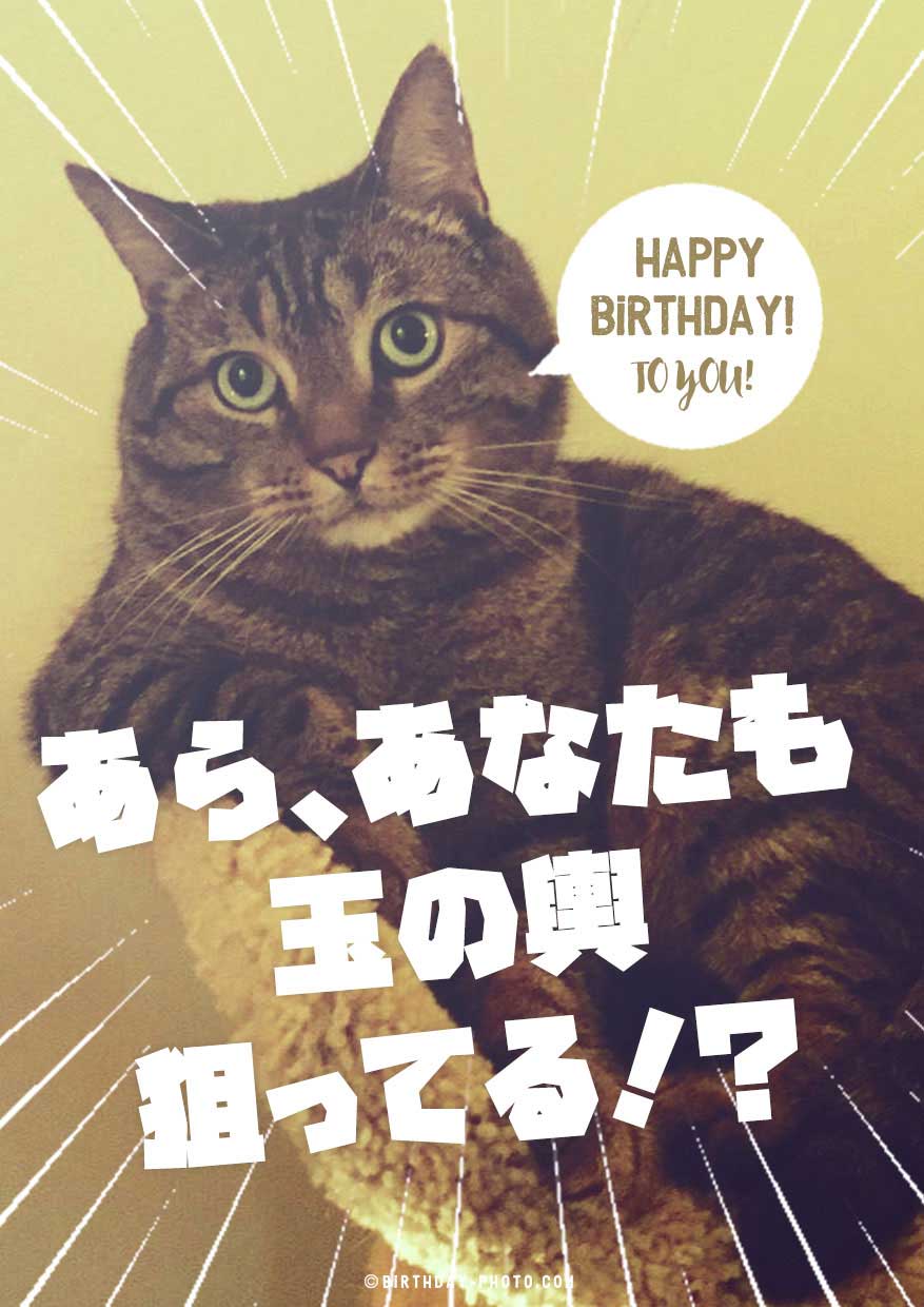 お誕生日おめでとう画像No,3