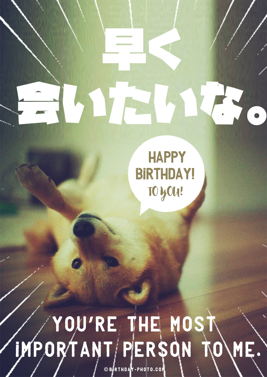 犬好きの恋人におくるお誕生日メッセージ画像